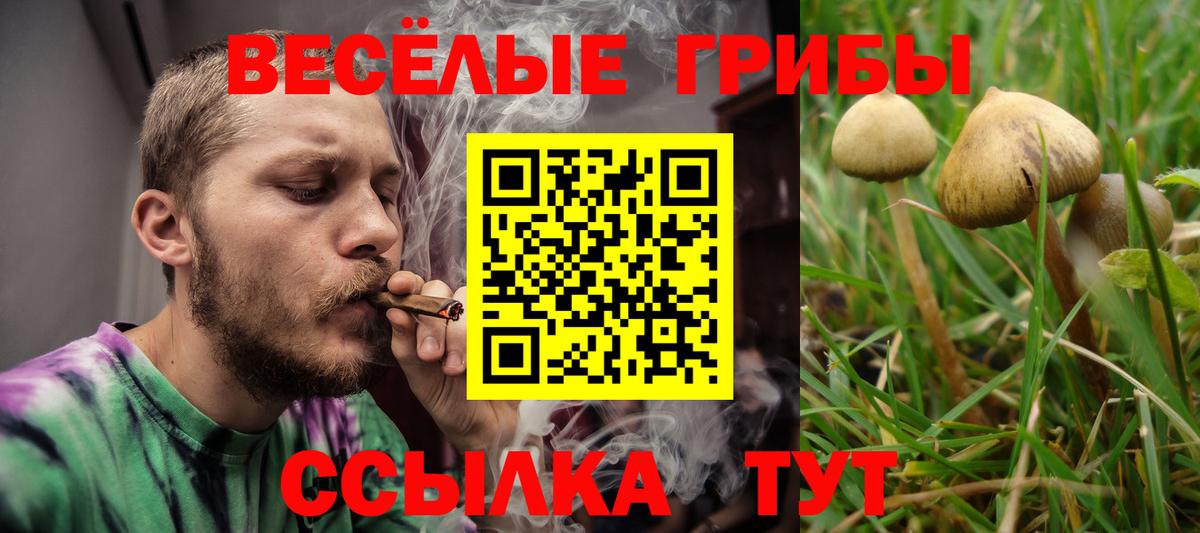 Псилоцибиновые грибы Psilocybine cubensis  Псилоцибиновые грибы мицелий  Орёл  где продают наркотики  Вход с VPN 