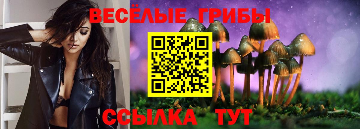 Галлюциногенные грибы Psilocybe Орёл